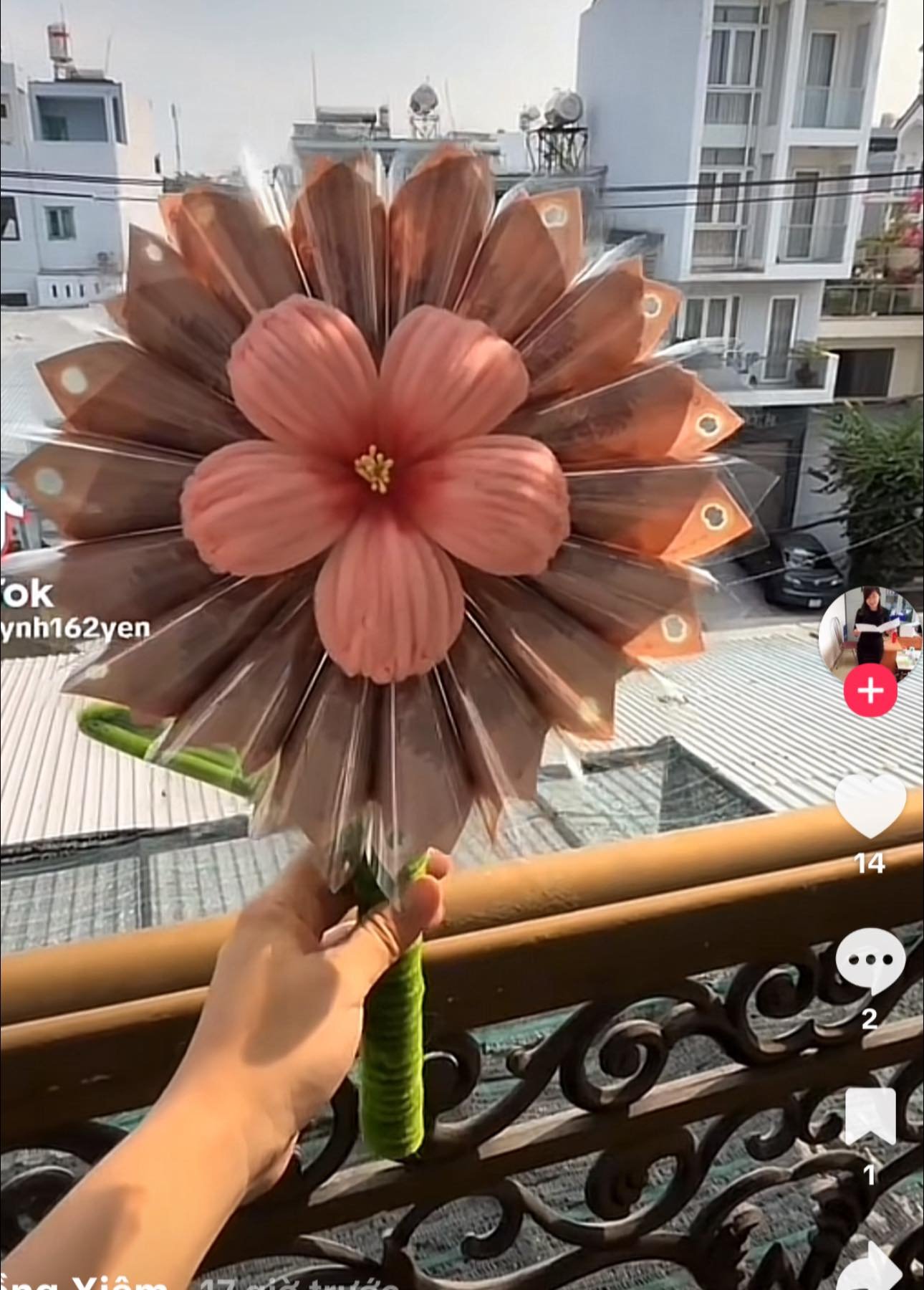 Mẫu 8