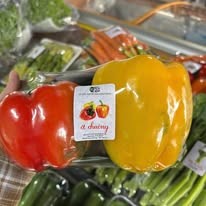 Ớt chuông Đà Lạt