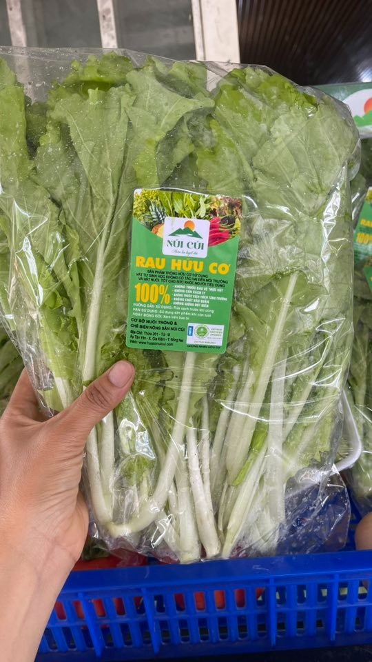 Cải nhún hữu cơ