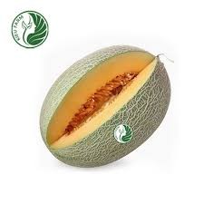 Dưa lưới vỏ xanh