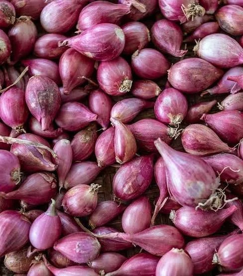 Hành tím đà Lạt