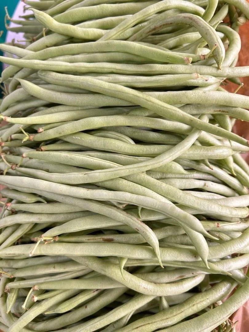 TSF - Cove Việt hữu cơ