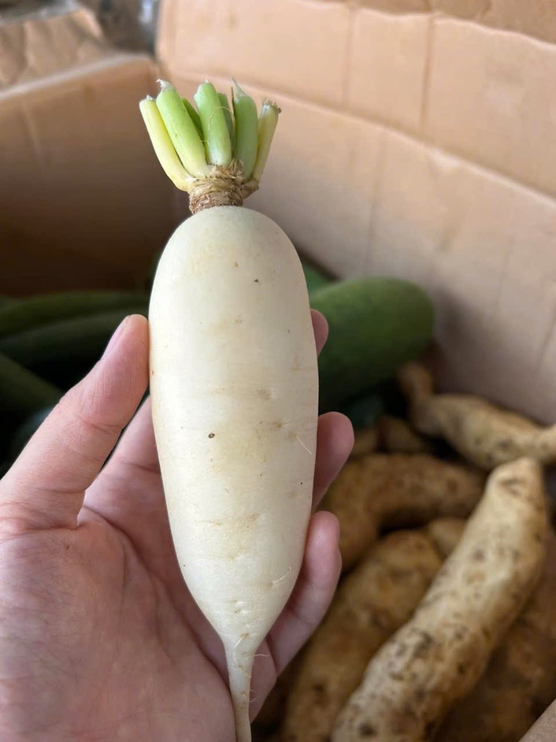 BB - Củ Cải Trắng hữu cơ