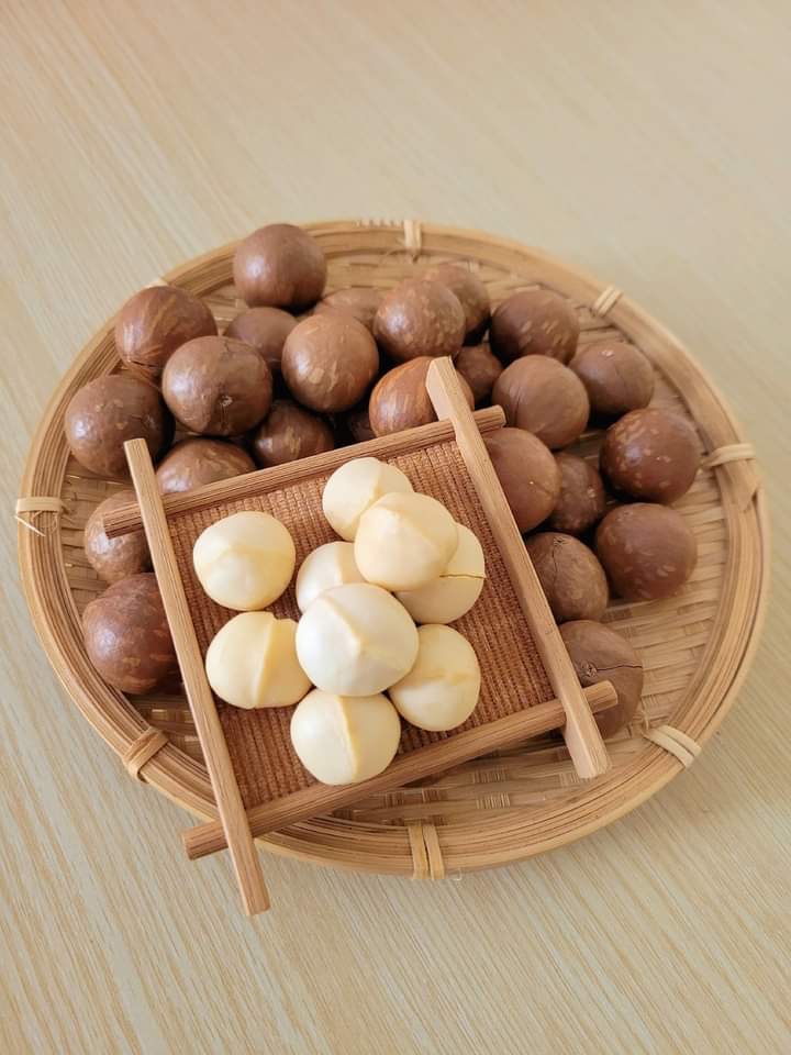 Hạt macca sấy lạnh