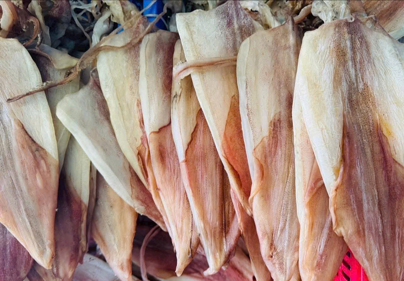 Khô Mực câu tay dẻo (2 nắng)