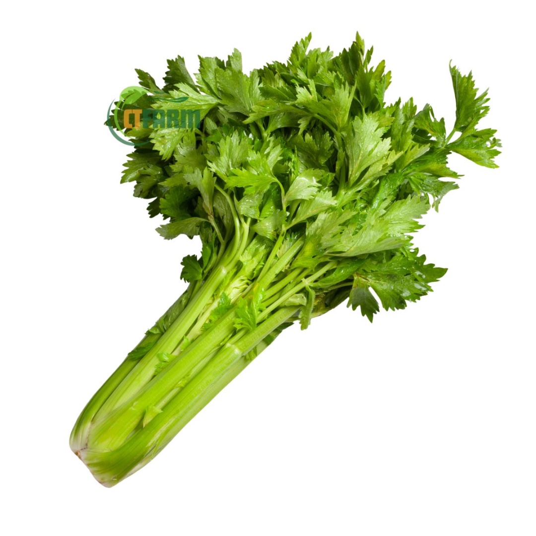 CTF - Cần Tây hữu cơ