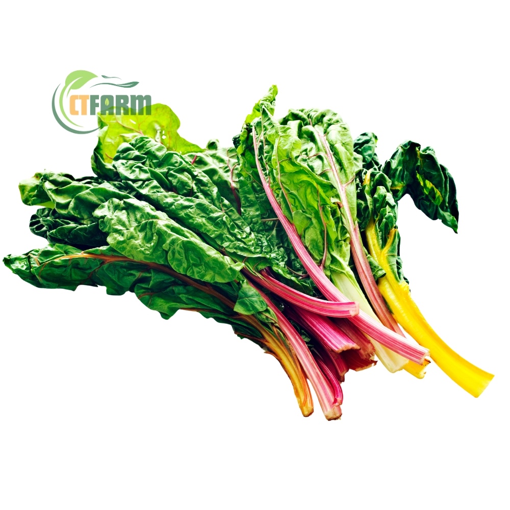 CTF - Cải Cầu Vồng hữu cơ