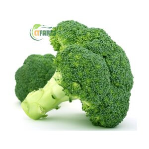 CTF - Lơ Xanh hữu cơ