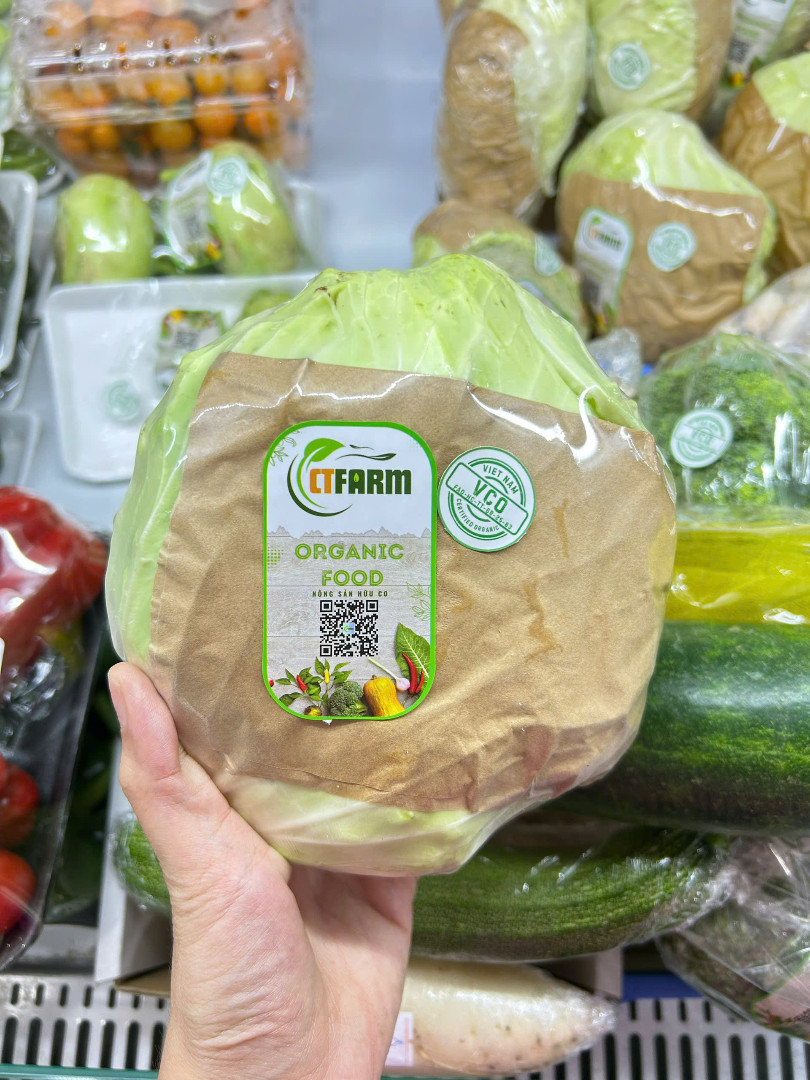 CTF - Bắp Cải hữu cơ 