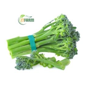 CTF - Lơ xanh baby hữu cơ