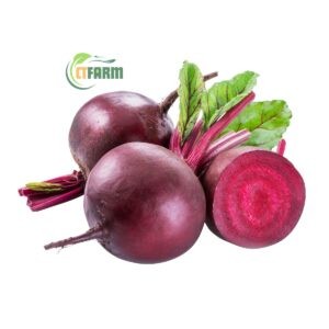 CTF - Củ dền hữu cơ