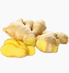 CTF - củ gừng hữu cơ