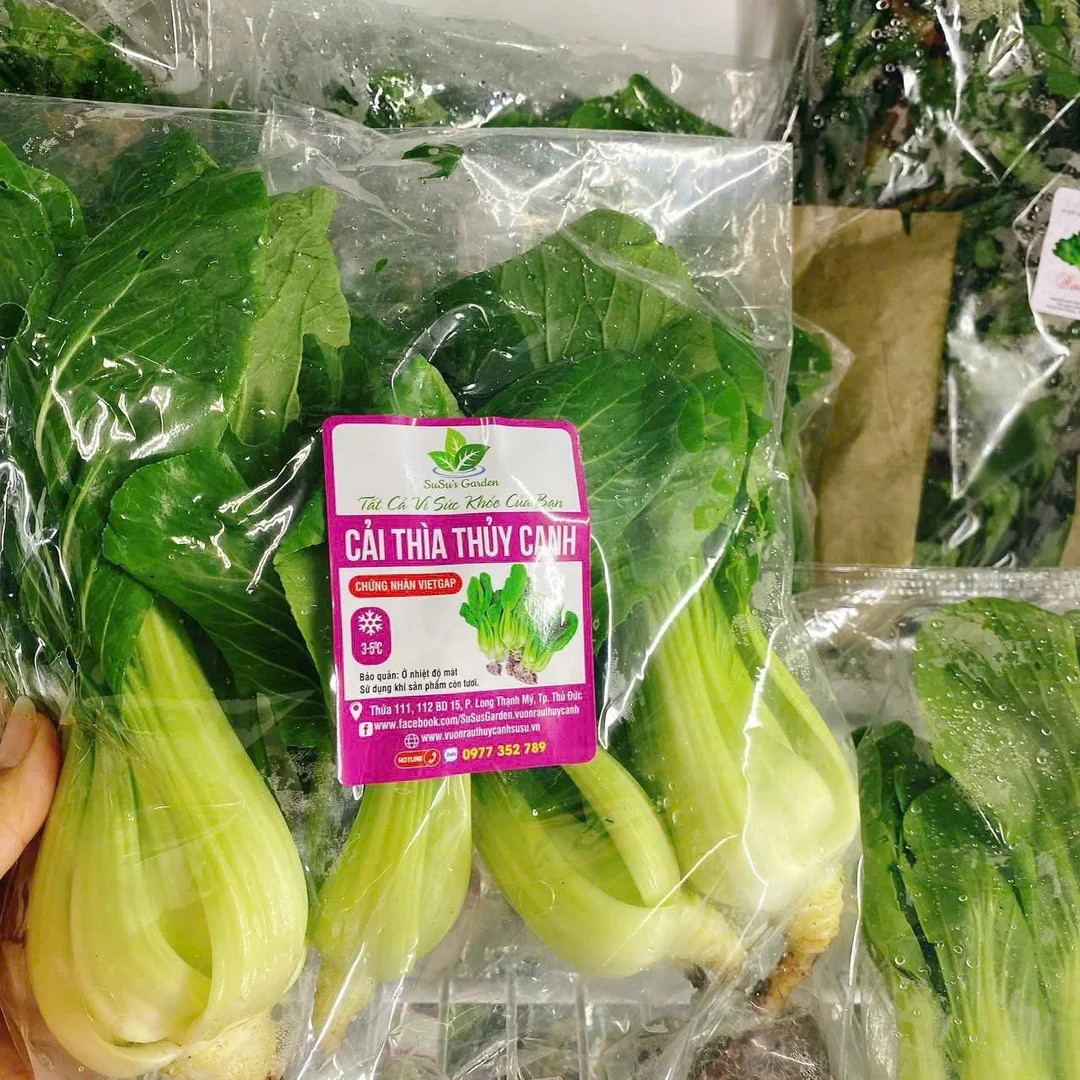 Cải thìa thuỷ canh Su Su túi